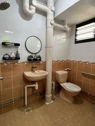 kaki-bukit-green photo thumbnail #4